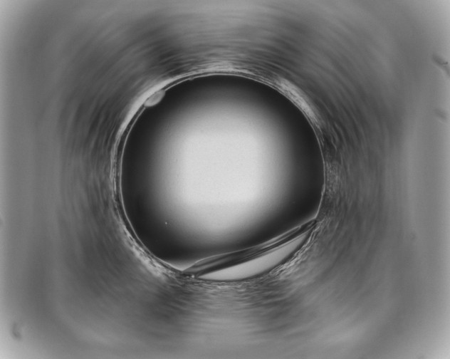 X0000098011148200804071321