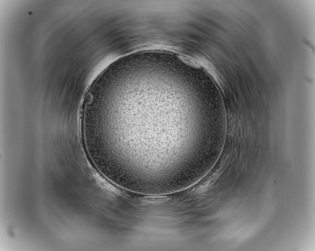X0000098011151200804071321