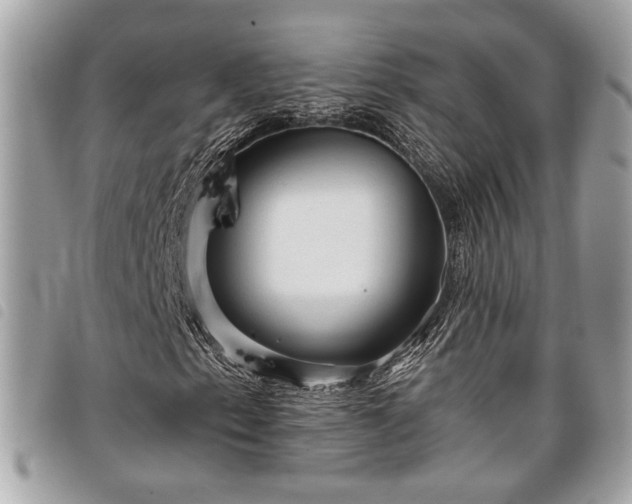 X0000098011153200804071321