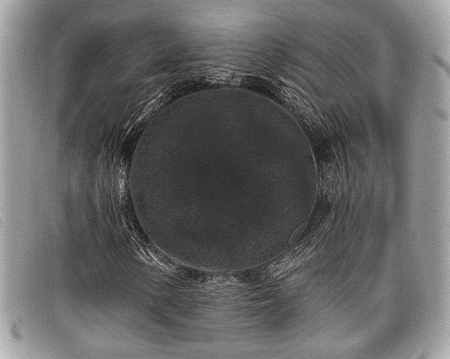 X0000098011154200804071321