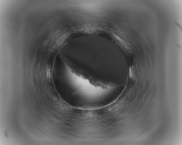 X0000098011155200804071321