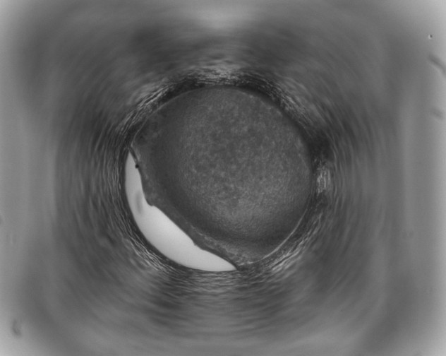 X0000098011156200804071321