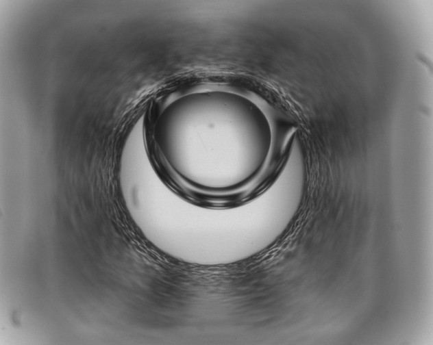 X0000098011157200804071321