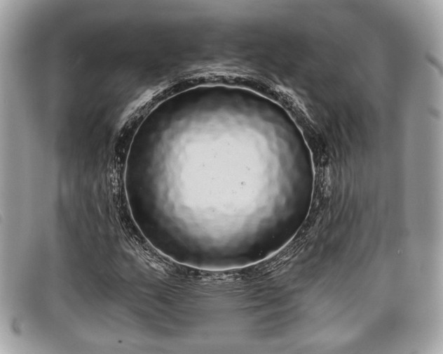 X0000098011159200804071321