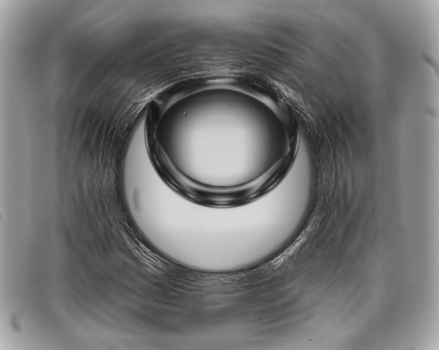 X0000098011161200804071320