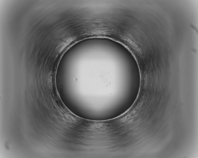 X0000098011162200804071320