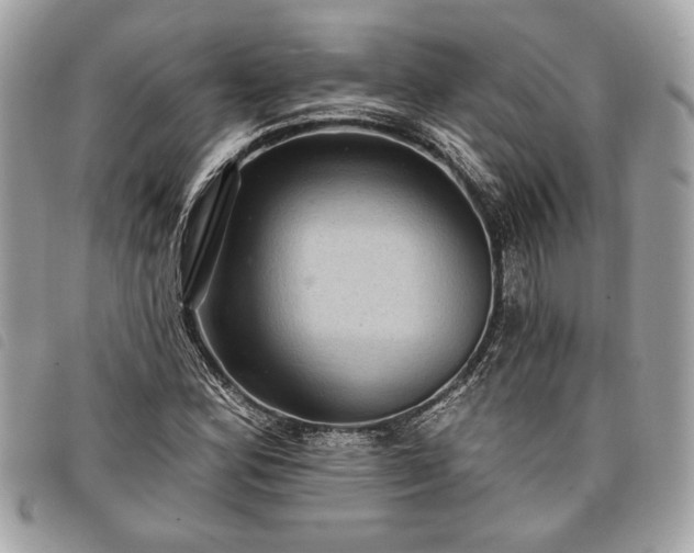 X0000098011164200804071320