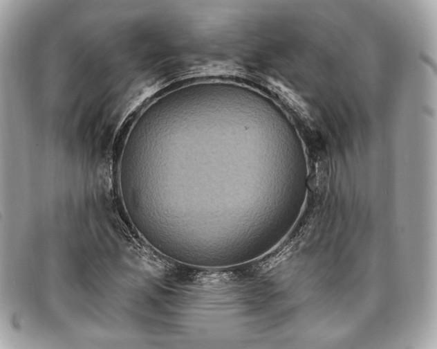 X0000098011165200804071320