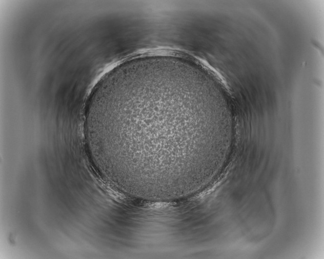 X0000098011166200804071320