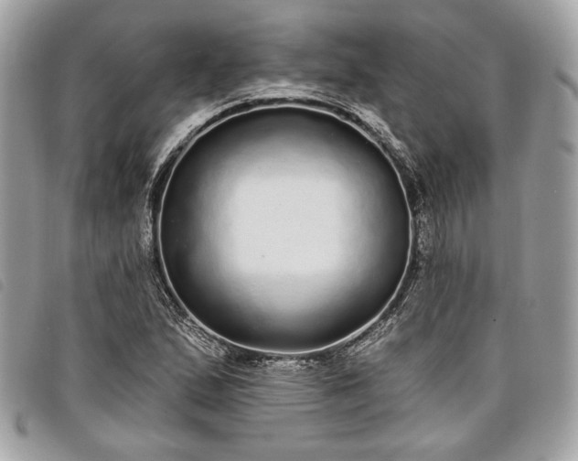 X0000098011167200804071320