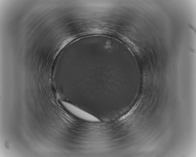 X0000098011170200804071320