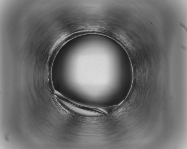X0000098011172200804071320