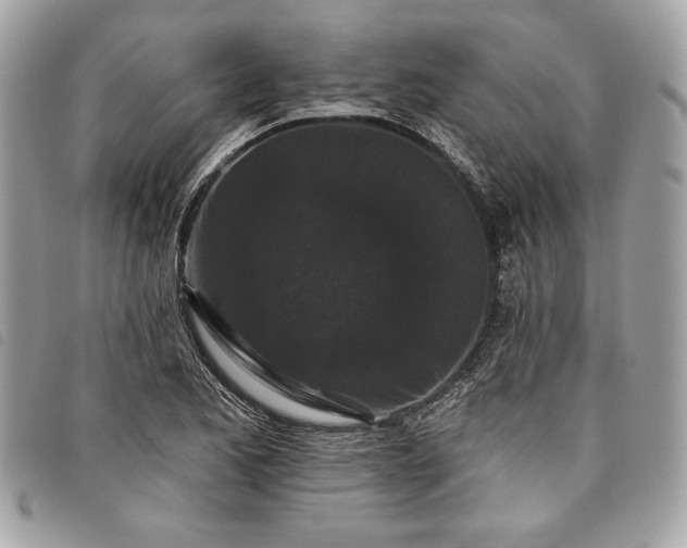X0000098011173200804071320