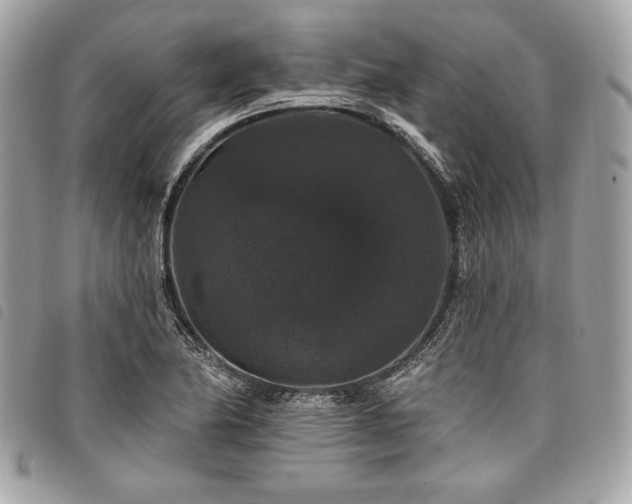 X0000098011174200804071320