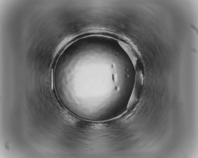 X0000098011175200804071320