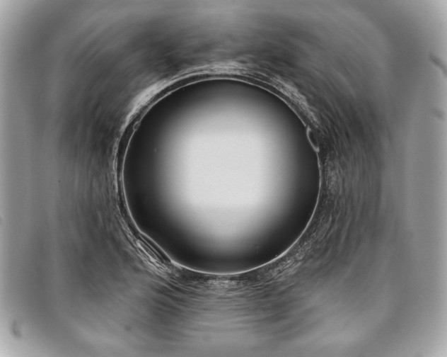 X0000098011176200804071320