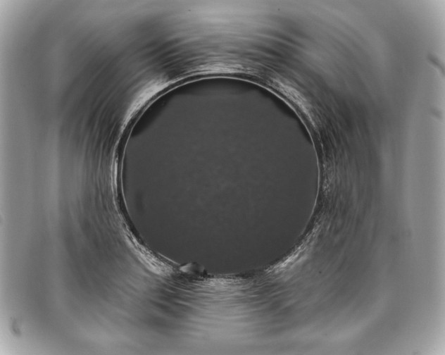 X0000098011179200804071320