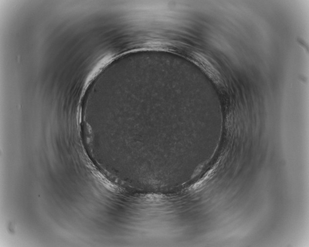 X0000098011180200804071320