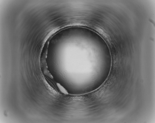 X0000098011181200804071320