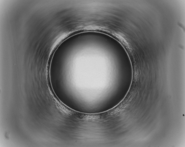 X0000098011183200804071320