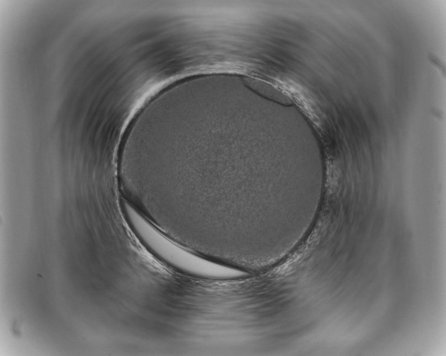 X0000098011184200804071320