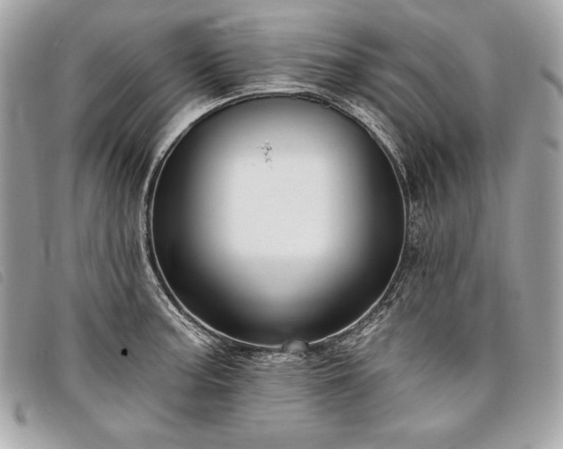 X0000098011187200804071320