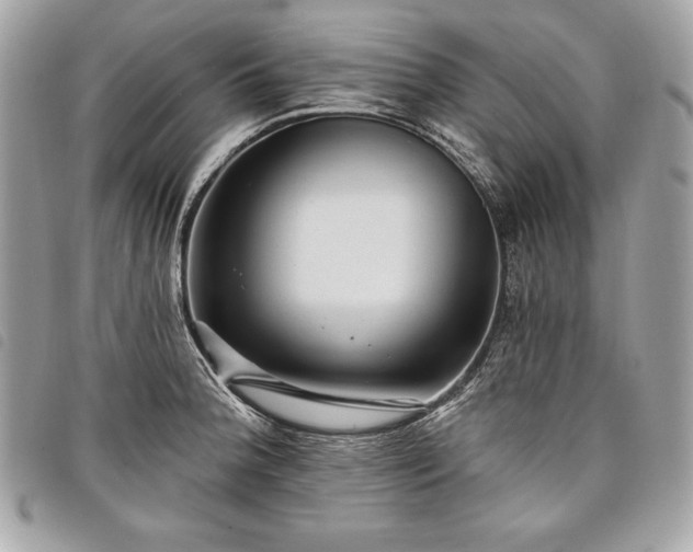X0000098011188200804071320