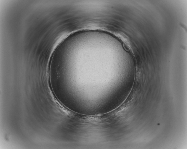 X0000098011191200804071320