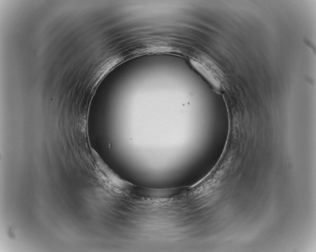 X0000098011193200804071320