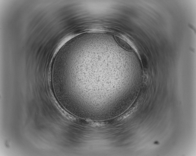 X0000098011195200804071320