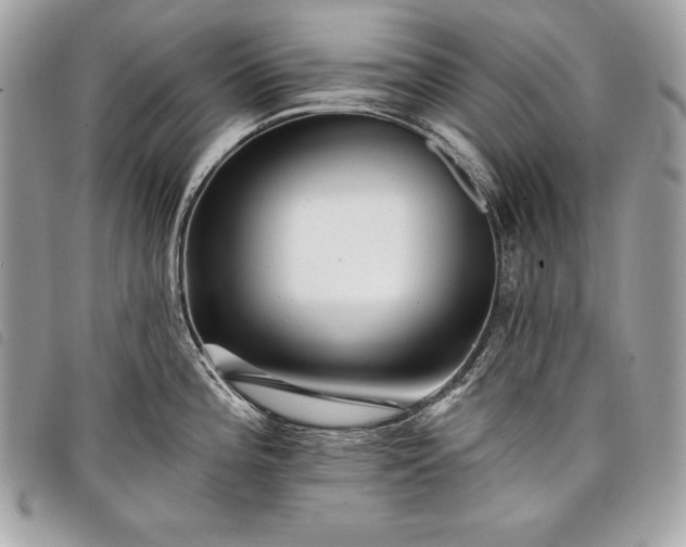 X0000098011196200804071320