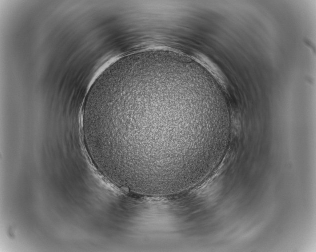 X0000098011198200804071320