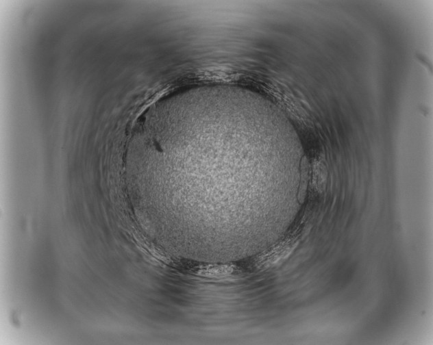 X0000098011201200804071319