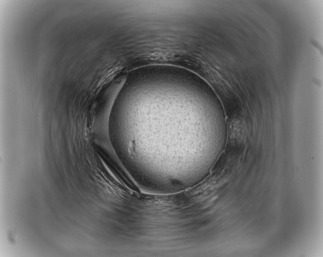 X0000098011202200804071319