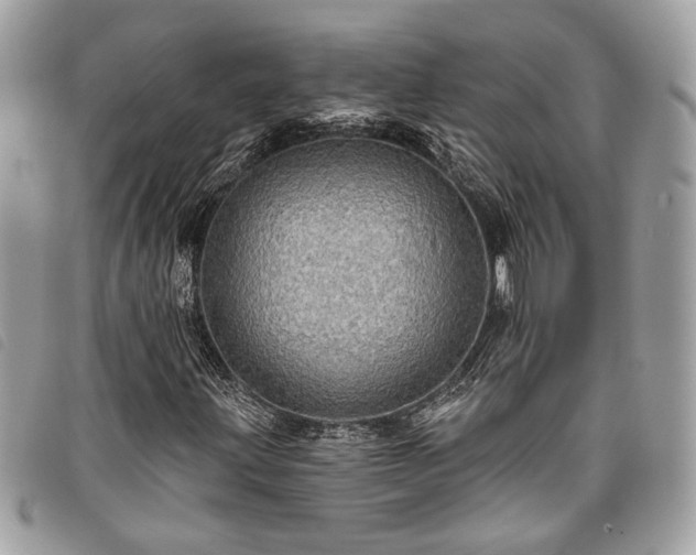 X0000098011203200804071319
