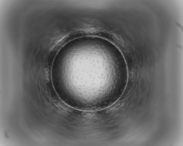 X0000098011205200804071319