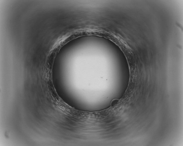 X0000098011207200804071319