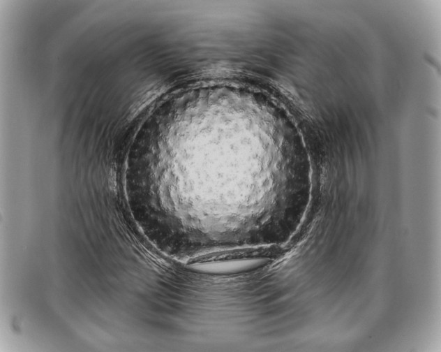 X0000098011209200804071319