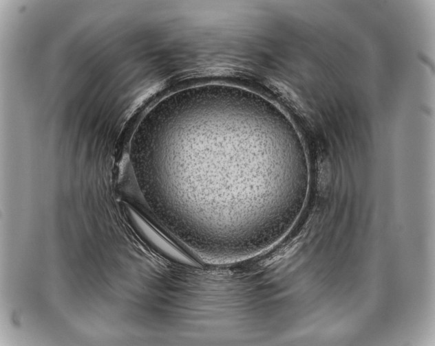 X0000098011210200804071319