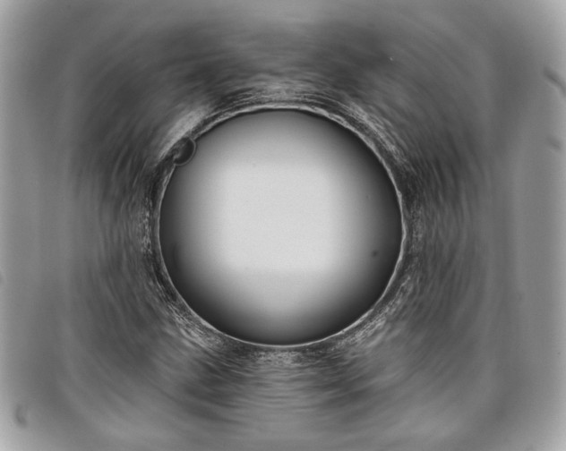 X0000098011211200804071319