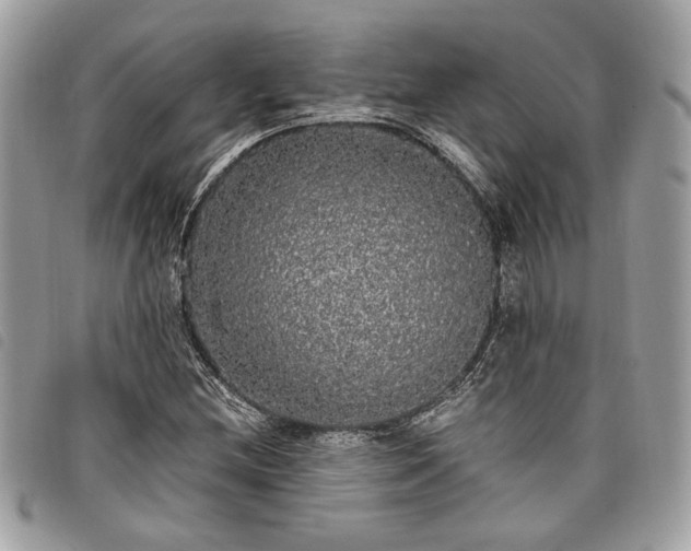 X0000098011212200804071319