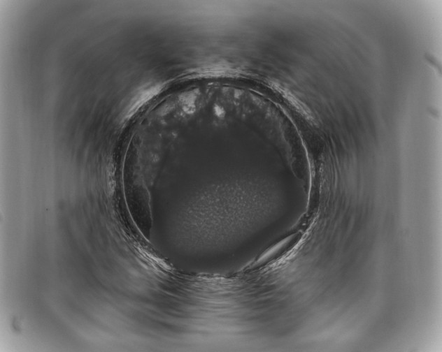 X0000098011213200804071319