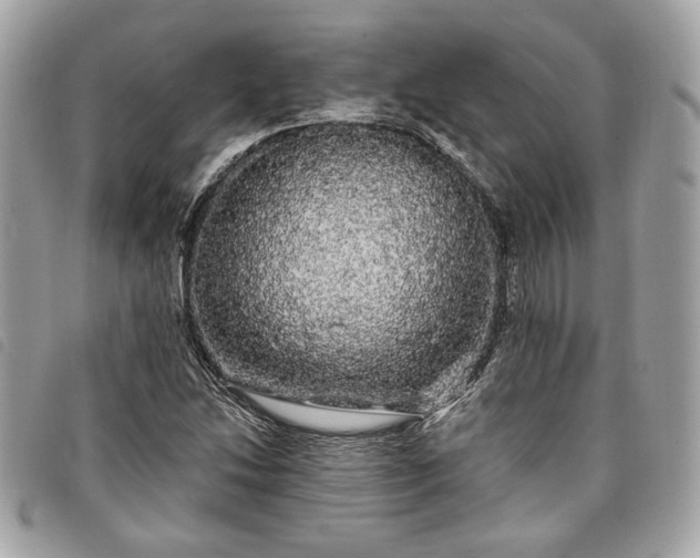 X0000098011214200804071319