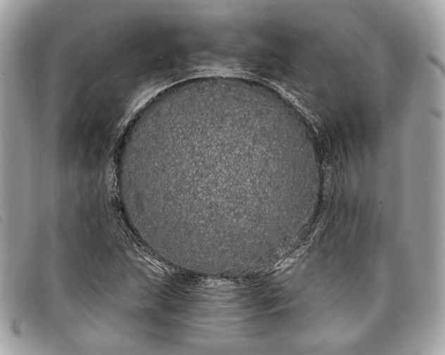 X0000098011215200804071319