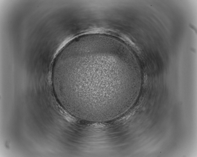 X0000098011216200804071319