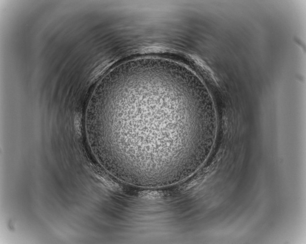 X0000098011217200804071319