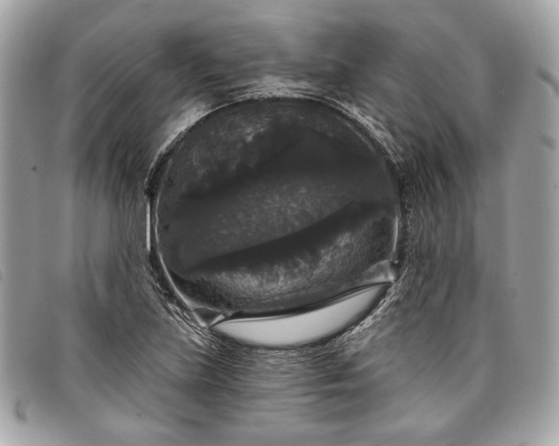 X0000098011219200804071319