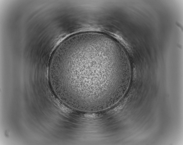 X0000098011220200804071319