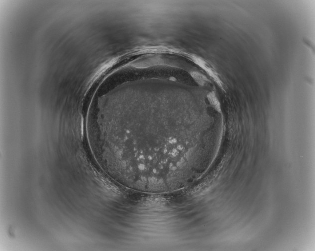 X0000098011221200804071319