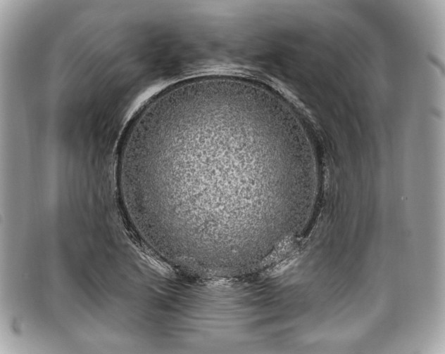 X0000098011222200804071319